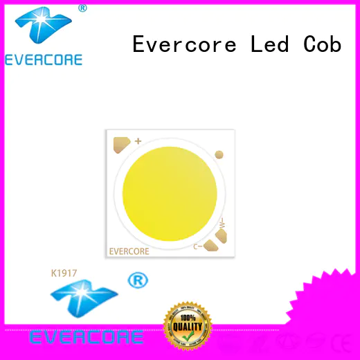 Evercore long lifespan led color manufacturer for distribution