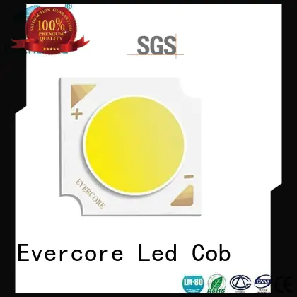 Hot automotive lighting cobs modules optical design Evercore Brand