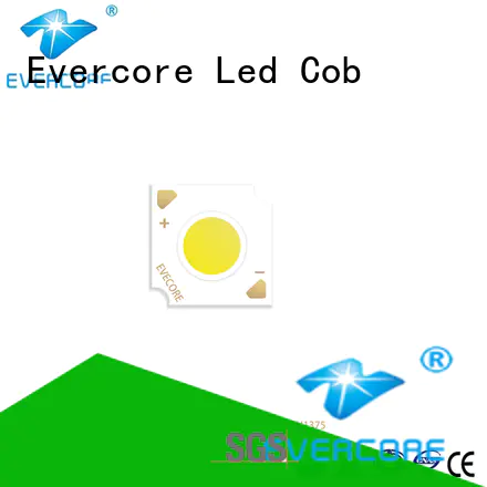 Evercore best smd led chip Asia company for sale