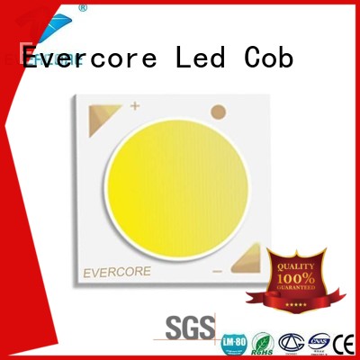 Quality Evercore Brand led 10W Cob Led Module