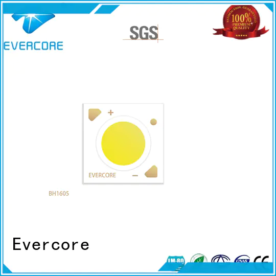 Evercore bh1311 downlight cob customized for distribution
