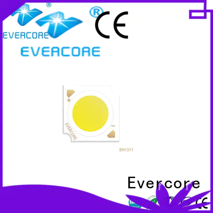 Evercore bh1816 downlight cob factory for sale