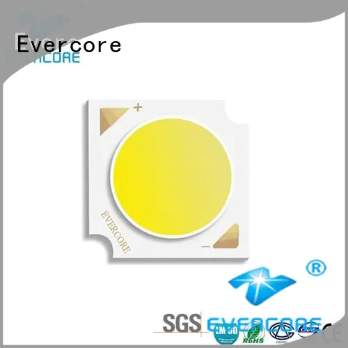 Evercore Brand full spectrum cob Grow lamps manufacture