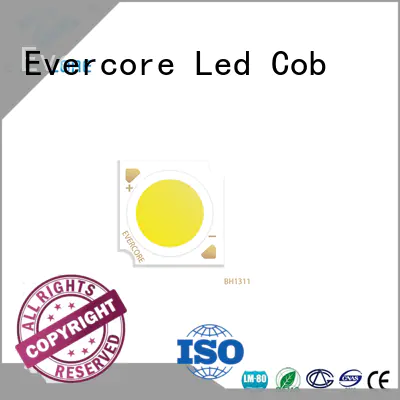 Evercore best chip cob led cob for reseller