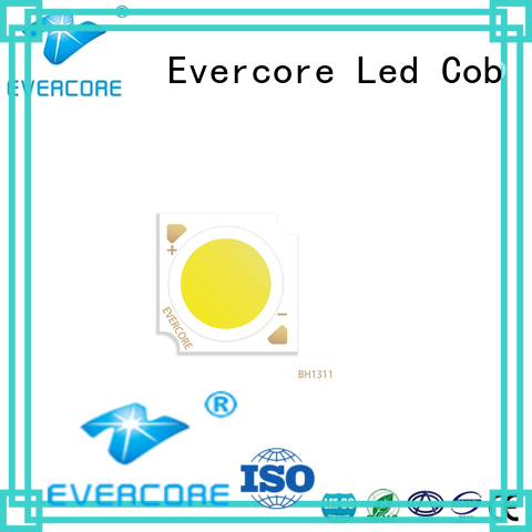 Low cost Led Cob Chip bh factory for lighting