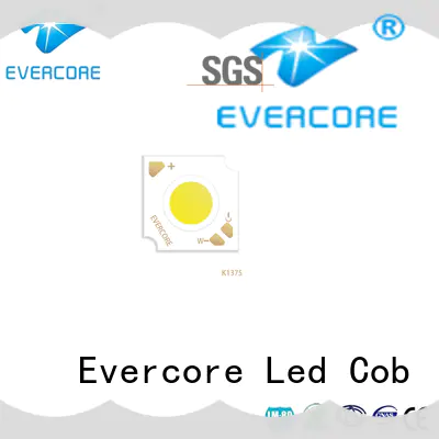 Evercore easy installation led color supplier for distribution