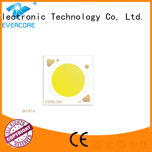 Evercore ra97 led downlight kit factory for distribution