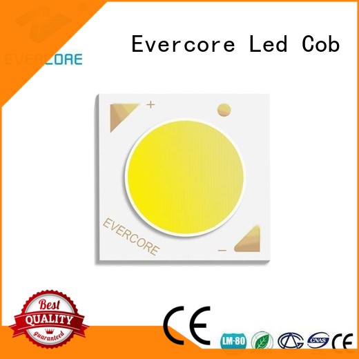 color Custom 10W Cob Led Module linear Evercore