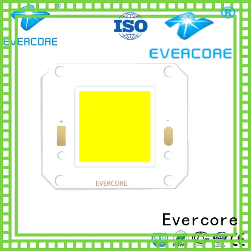 Evercore most popular outside downlights led from China for lighting