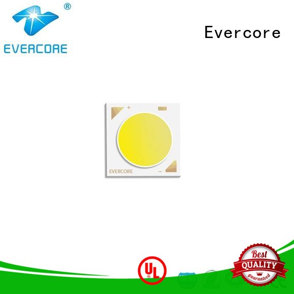 Evercore bk1917 color led manufacturer for sale
