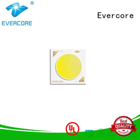 Evercore bk1917 color led manufacturer for sale