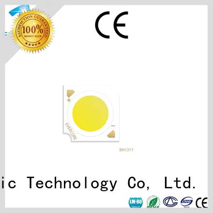 Evercore high quality leds modules wholesale for distribution