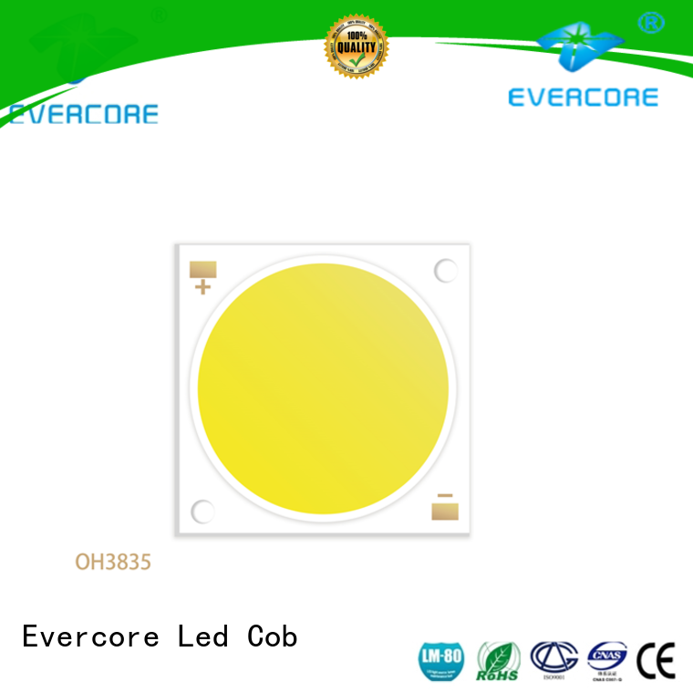 Evercore most popular outside garden lights from China for importer