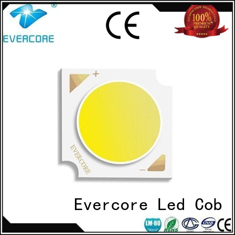 High CRI modules downlight led cob Evercore manufacture