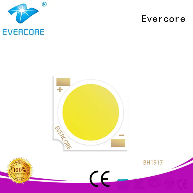Evercore bh1311 led downlight kit factory for distribution