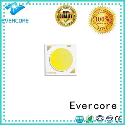 Evercore bk1914 two color led bulk production for sale