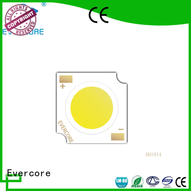 Evercore wholesale chip cob from China for dealer