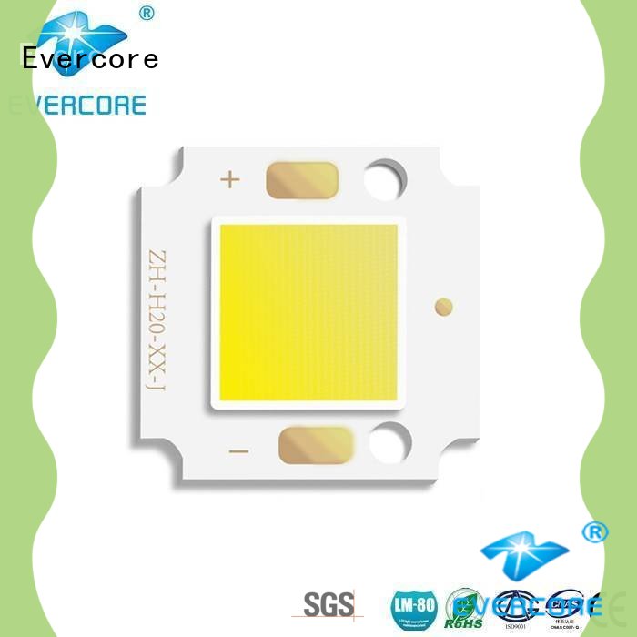 tunnel quality cob led manufacture oh2011 for distribution Evercore