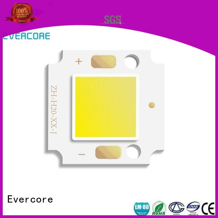 High CRI cob led spot led cob Evercore Brand company