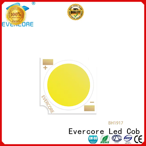 Evercore Low cost Cob Led supplier for lighting