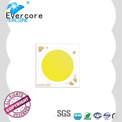 Evercore long lifespan 2 color led bulk production for wholesale