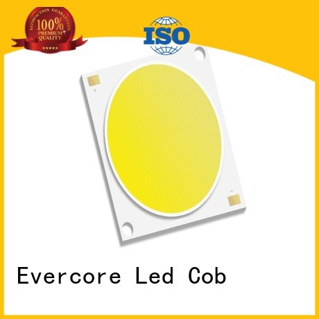 Evercore Brand cob modules high lighting efficiency led led