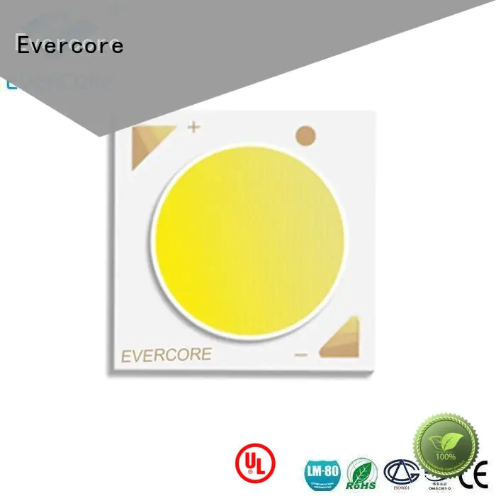 Evercore Brand led cob Grow lamps full spectrum factory