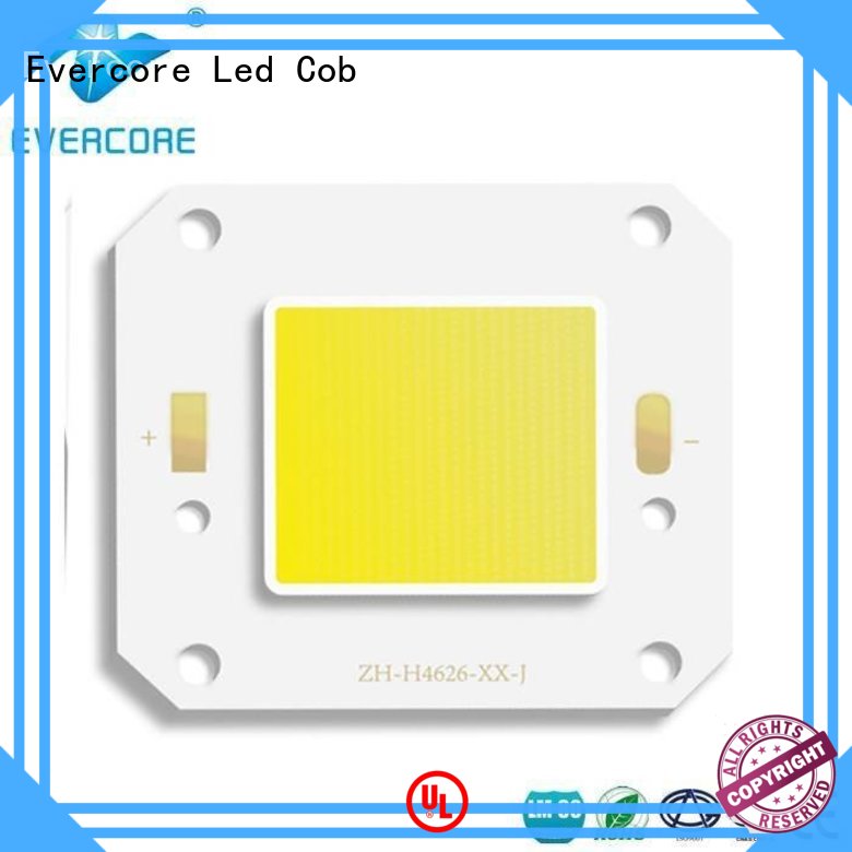 Evercore Brand Widely used led spot led cob modules factory