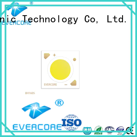 Evercore big production led bulbs for automotive use power for merchant