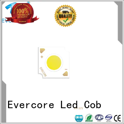 Evercore desk Led Cob Chip manufacturer for sale