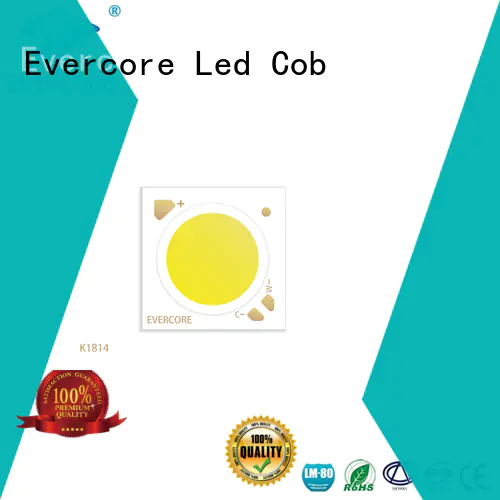 Evercore easy installation two color led manufacturer for wholesale