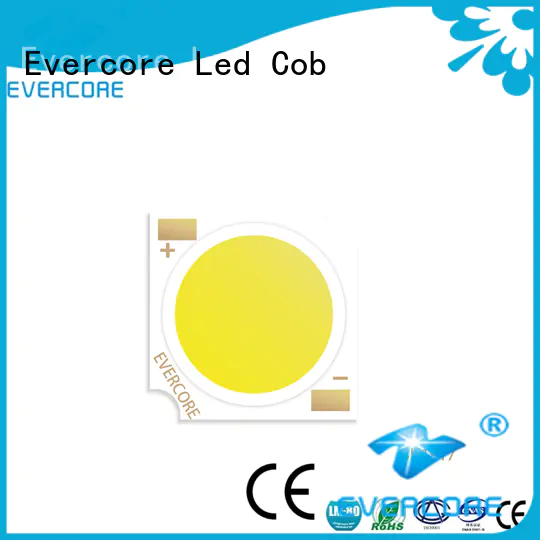 Evercore light（ Led Cob Chip factory for sale
