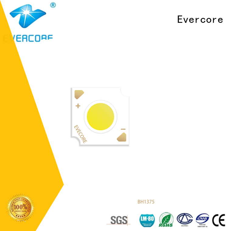 Evercore hd1325 Cob Led factory for distribution