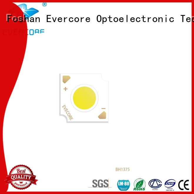Evercore Low cost Led Cob Chip supplier for lighting