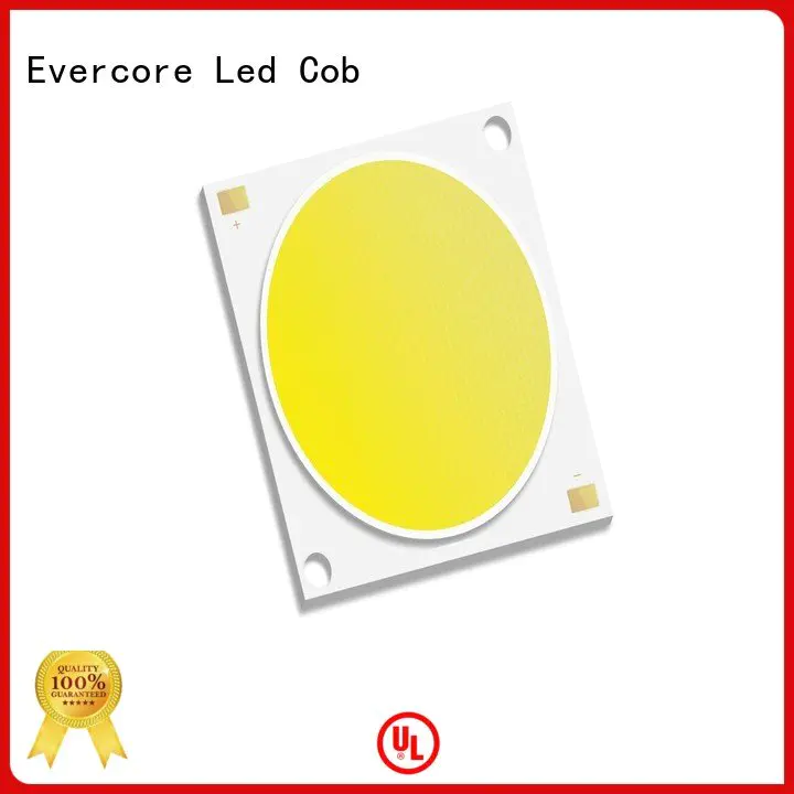 Evercore Brand cob modules led high lighting efficiency