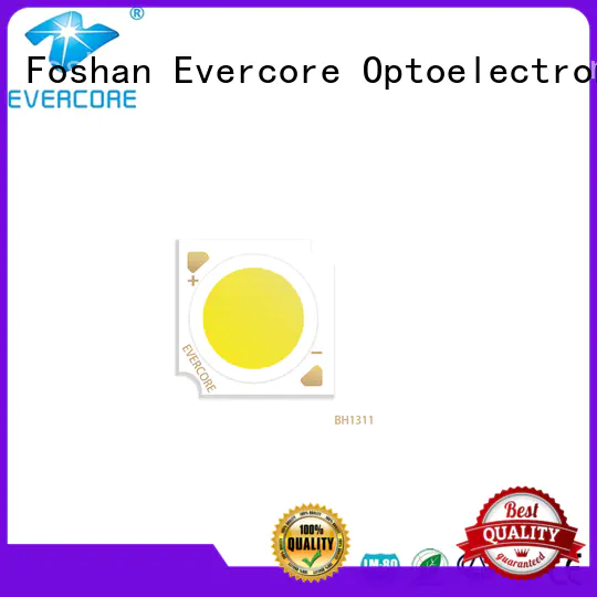 Evercore spectrum downlight cob overseas market for sale