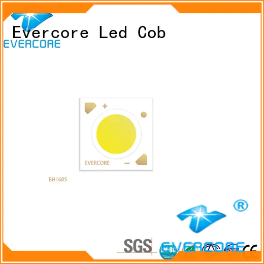 Evercore 24w36w） automotive led lights for sale