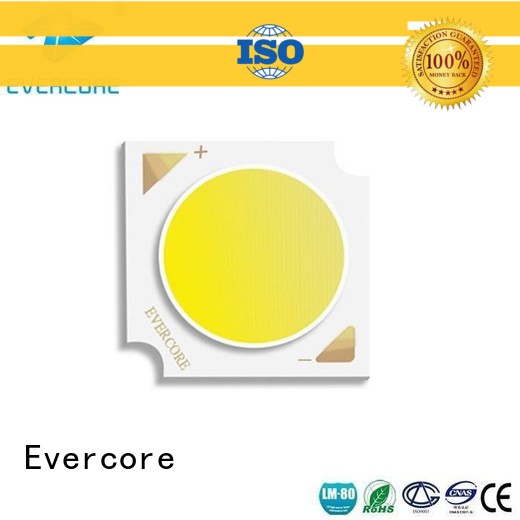 led cob led chip from China for dealer Evercore
