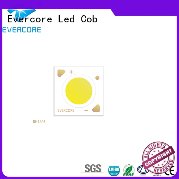 Evercore hot selling cob led for merchant