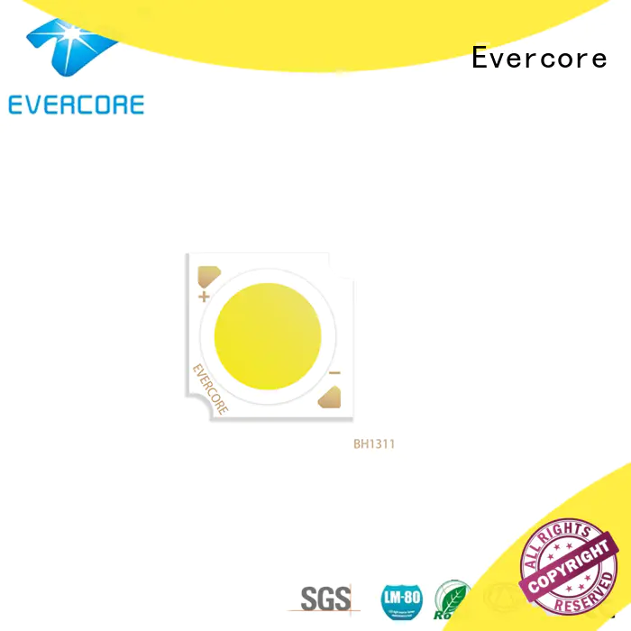 Evercore green Led Cob Chip factory for lighting