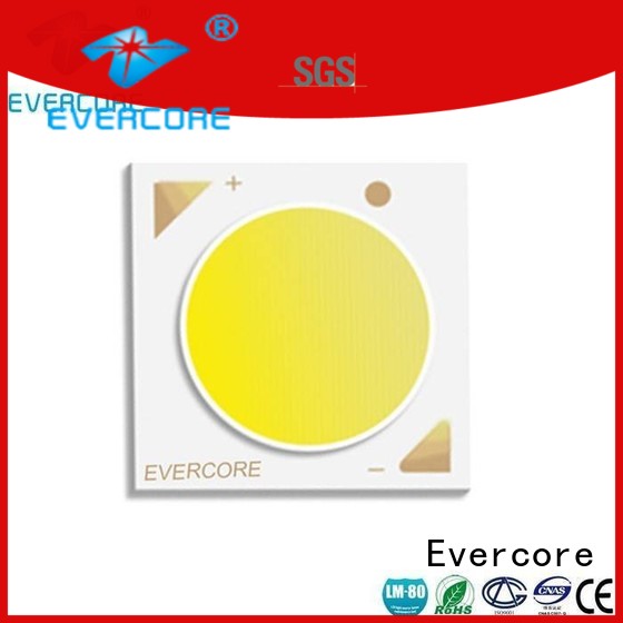 certified modules lighting downlight led cob Evercore manufacture