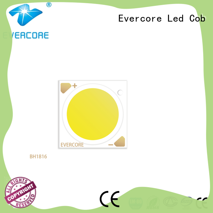 Evercore cheap Led Cob Chip factory for lighting