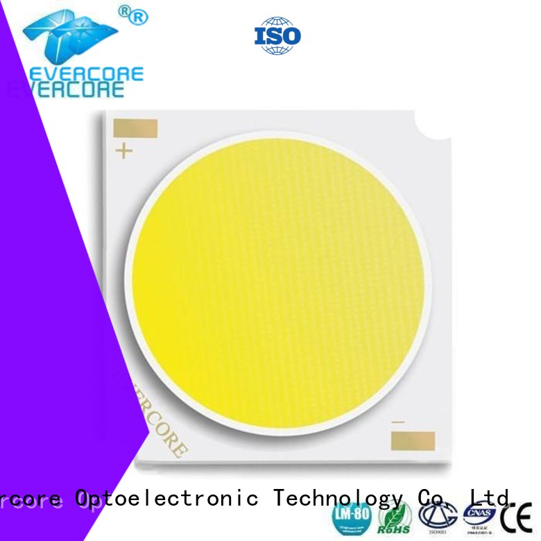 cob Universal linear Certified Cob Led Module Evercore