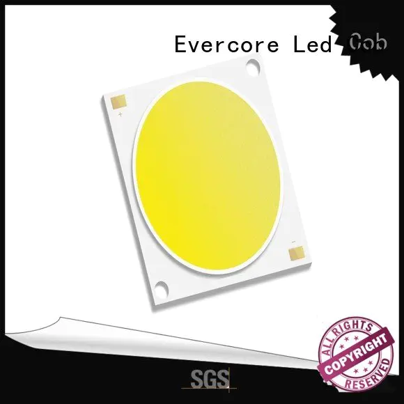 Quality high lighting efficiency Evercore Brand led Cold light modules led
 cob